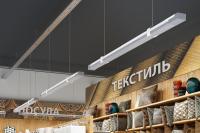 Светильник РИТЕЙЛ АКЦЕНТ LE-ССО-14-065-1462-23Т