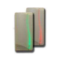 Elsys-SW10-EH (серый), считыватель карт