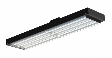 V-lux 50 D – №1
